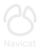 Navicat Logo Greyscale